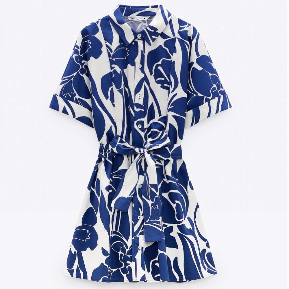 Zara printed shirt dress